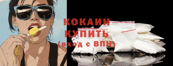 твердый Коряжма
