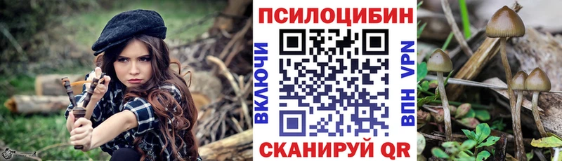 Псилоцибиновые грибы ЛСД  где купить наркоту  Скопин 