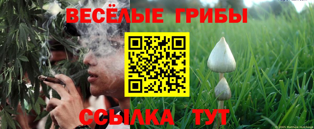 Галлюциногенные грибы Скопин