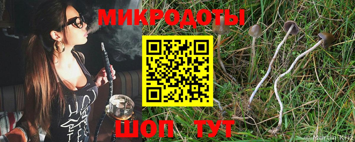 Галлюциногенные грибы Psilocybine cubensis  Вход с VPN  Скопин 